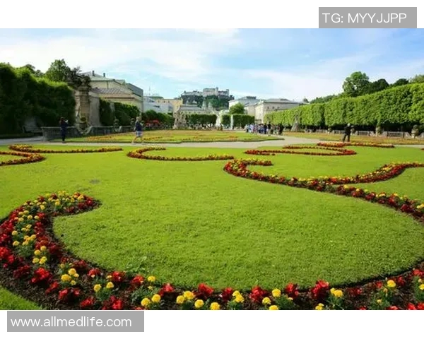 德国足球明星全景解析从历史传奇到现代巨星的辉煌之路